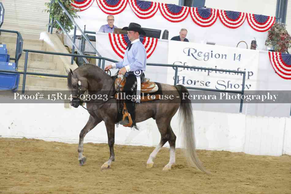 Proof 15R14_03023
