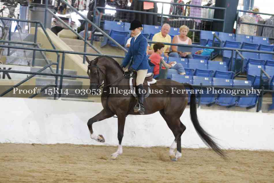 Proof 15R14_03053
