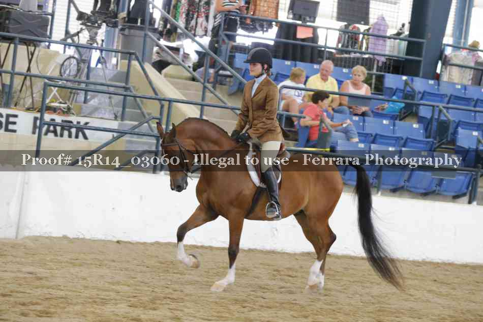 Proof 15R14_03060