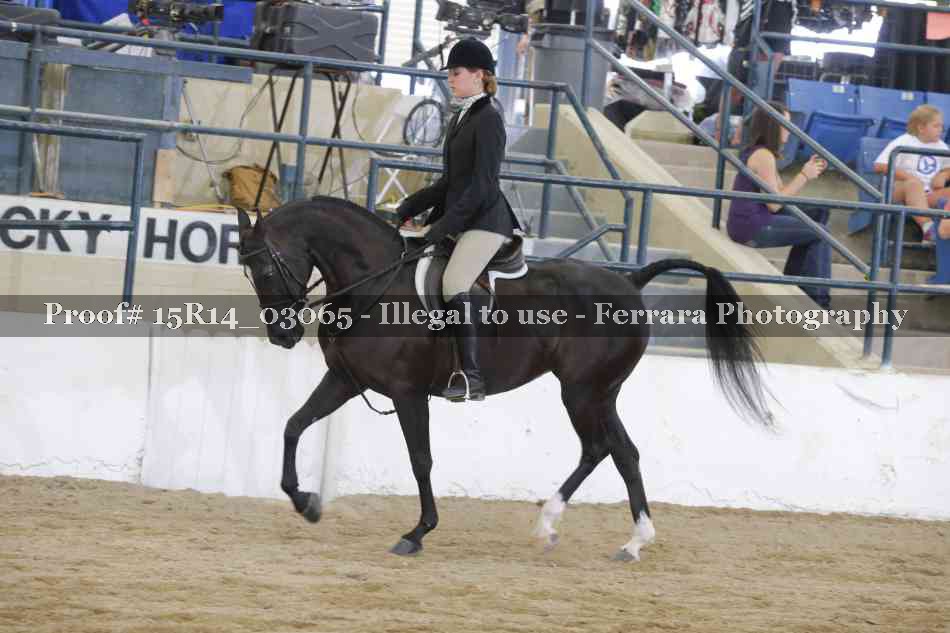 Proof 15R14_03065
