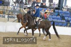 15R14_03074 proof