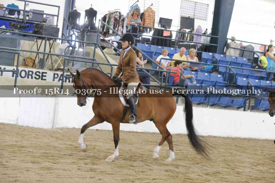 Proof 15R14_03075