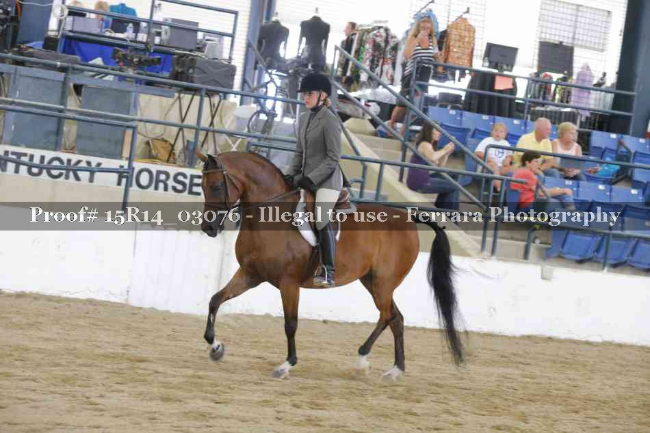 Proof 15R14_03076