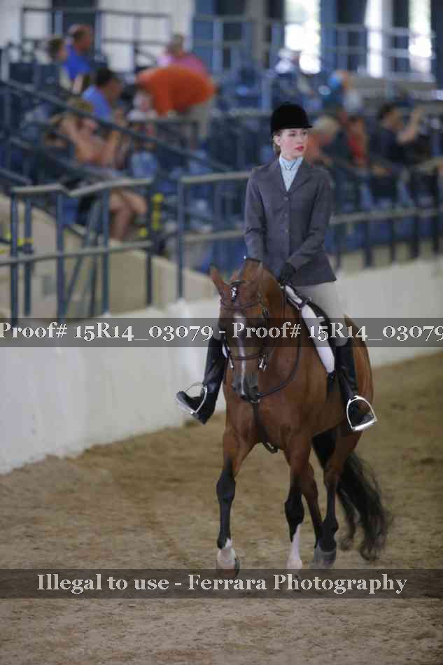 Proof 15R14_03079