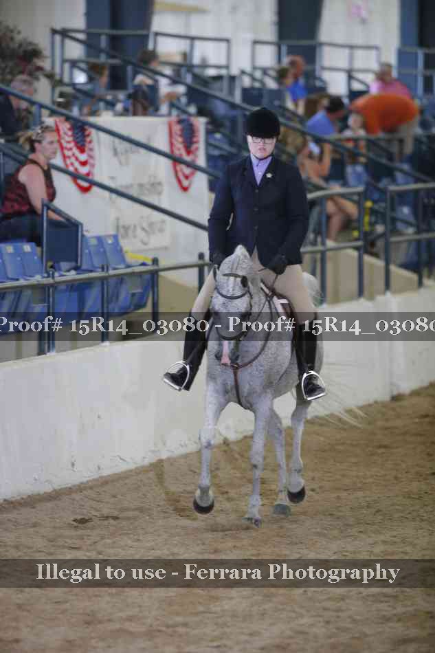 Proof 15R14_03080