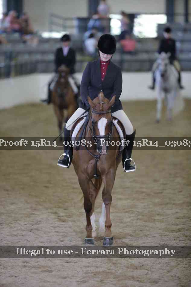 Proof 15R14_03083