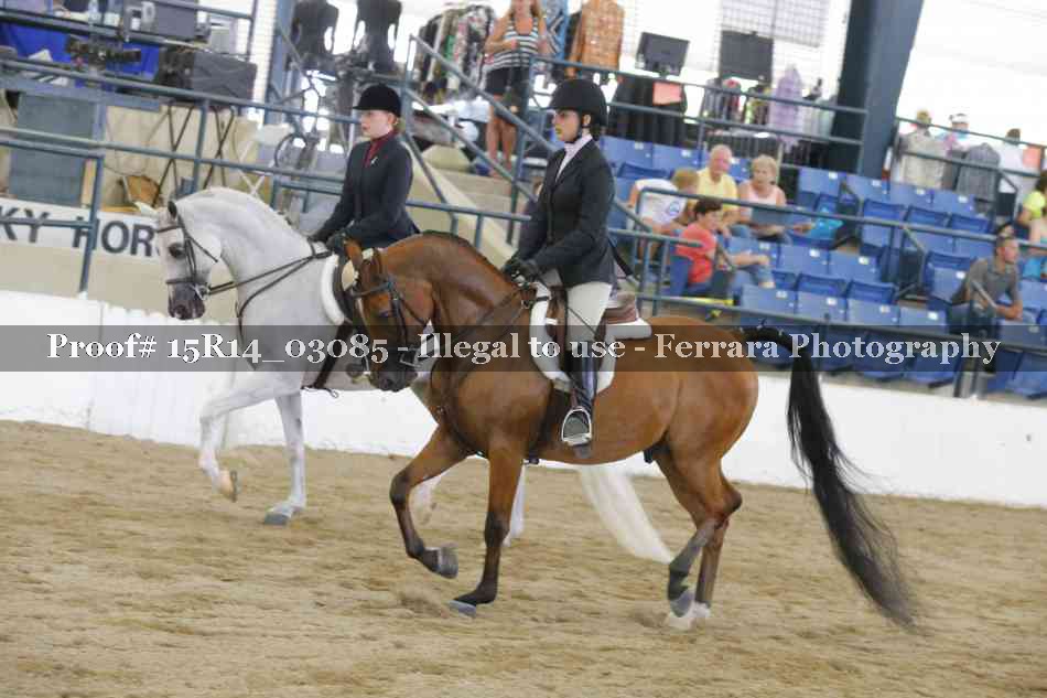Proof 15R14_03085