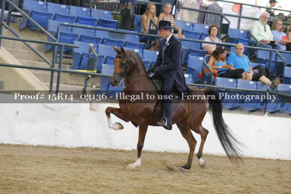 Proof 15R14_03136