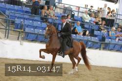 15R14_03147 proof
