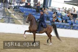 15R14_03148 proof