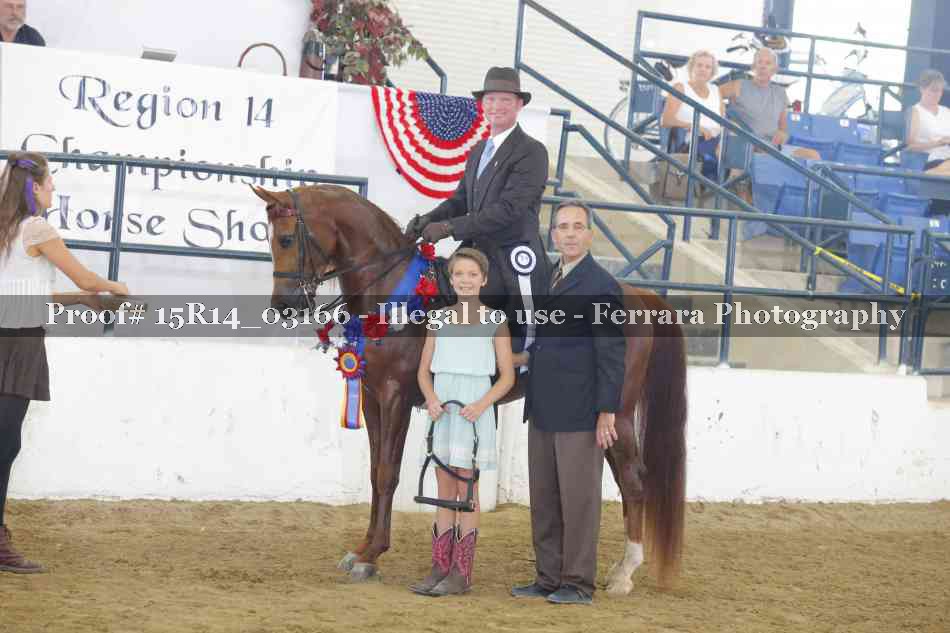 Proof 15R14_03166