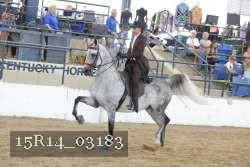 15R14_03183 proof