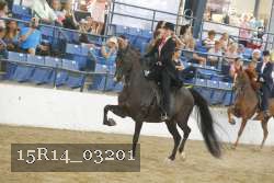 15R14_03201 proof