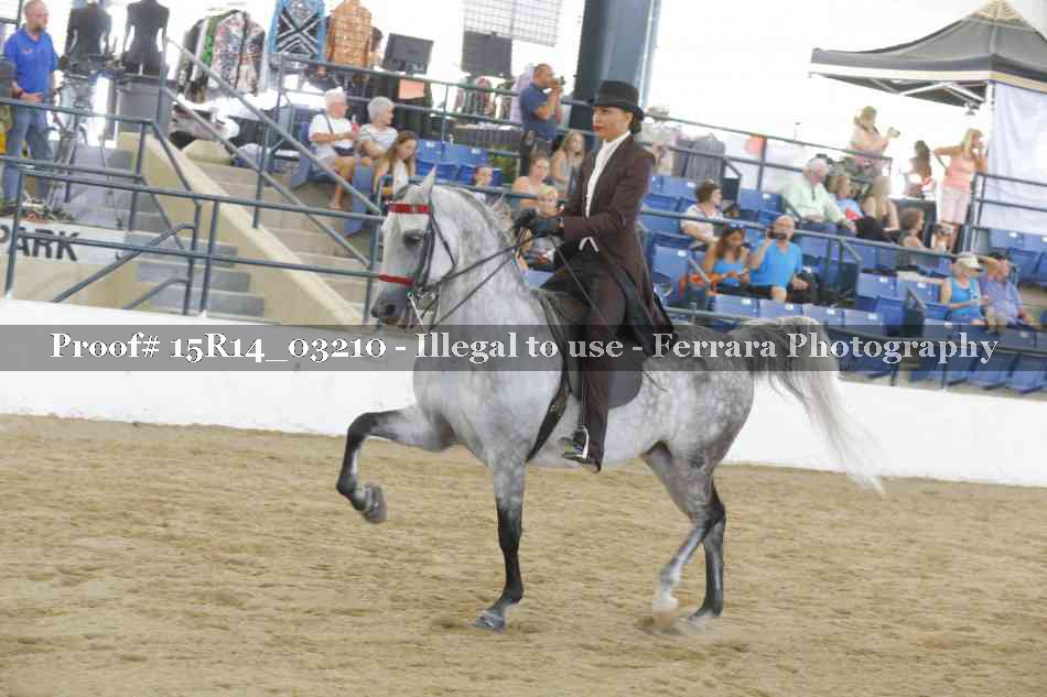 Proof 15R14_03210