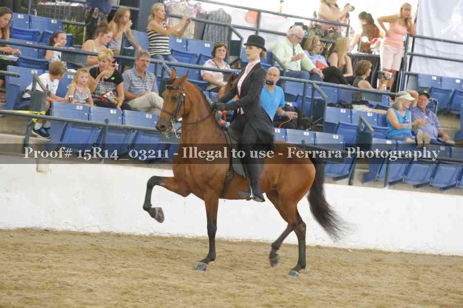 Proof 15R14_03211