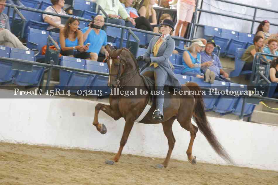 Proof 15R14_03213