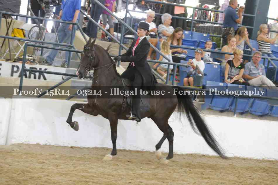 Proof 15R14_03214