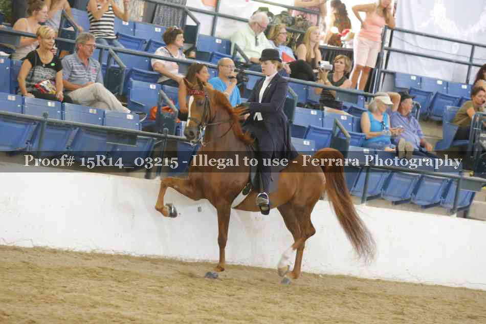 Proof 15R14_03215