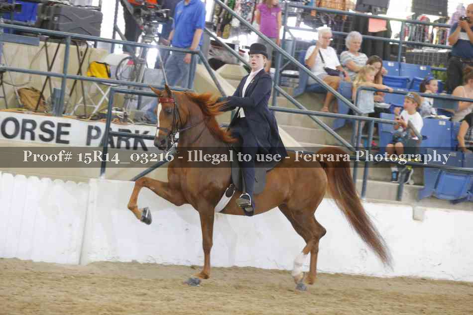 Proof 15R14_03216