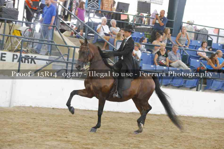 Proof 15R14_03217
