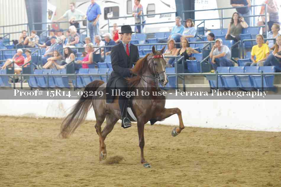 Proof 15R14_03219