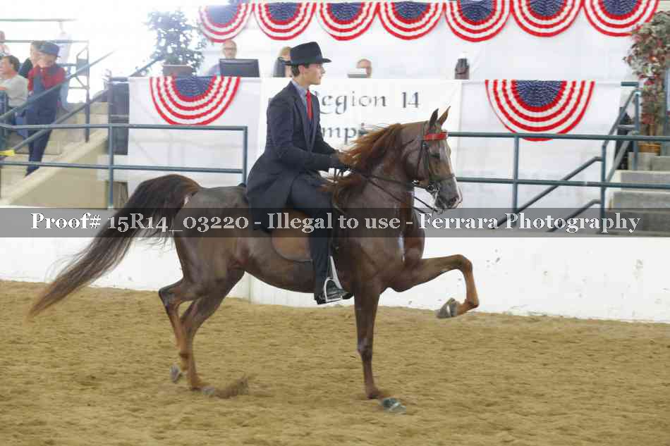 Proof 15R14_03220