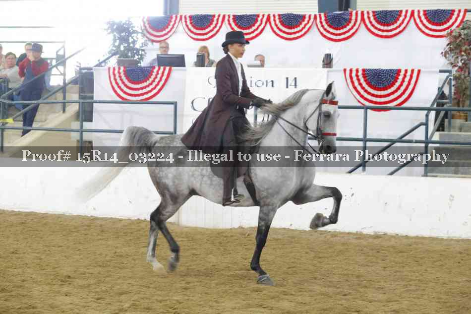 Proof 15R14_03224