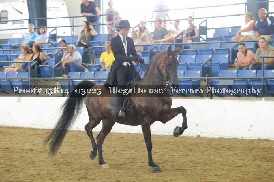 Proof 15R14_03225