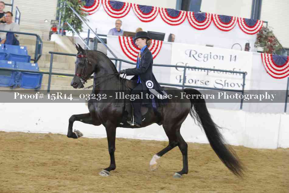 Proof 15R14_03232