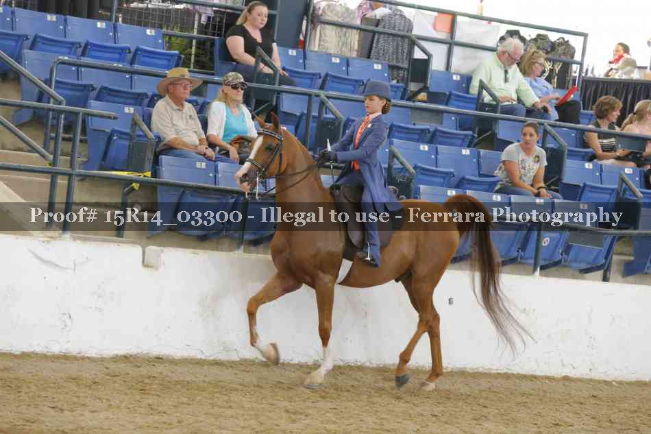 Proof 15R14_03300