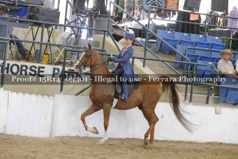 Proof 15R14_03301