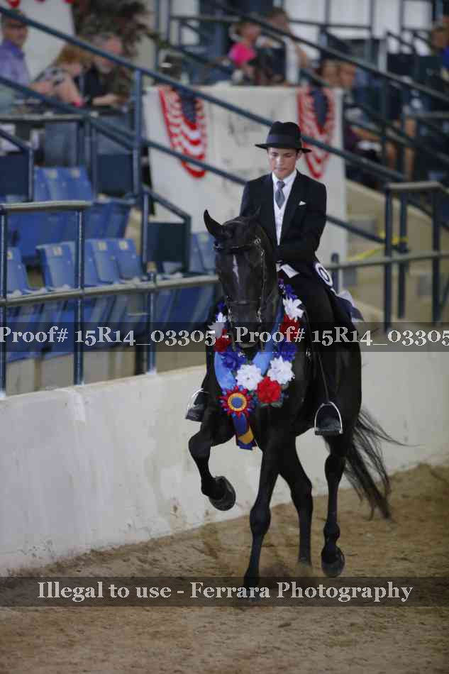 Proof 15R14_03305