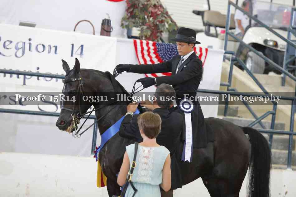 Proof 15R14_03311