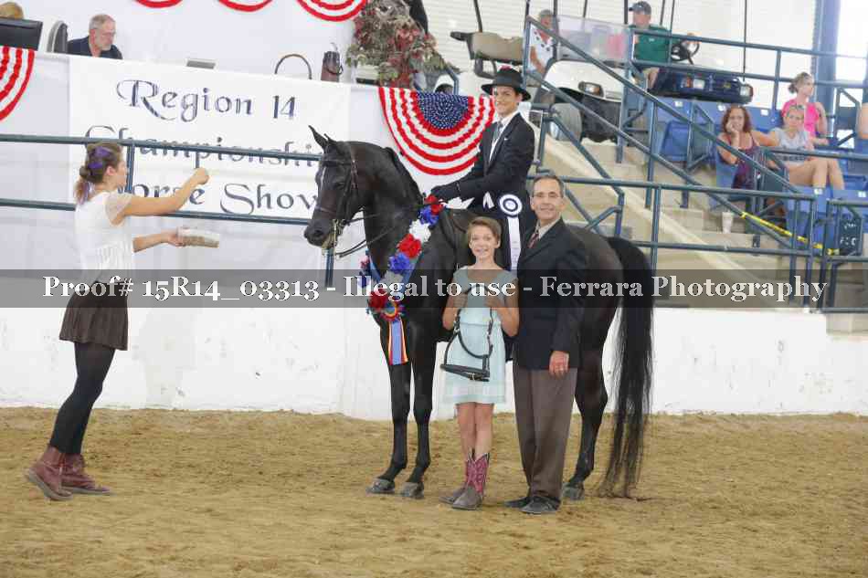 Proof 15R14_03313