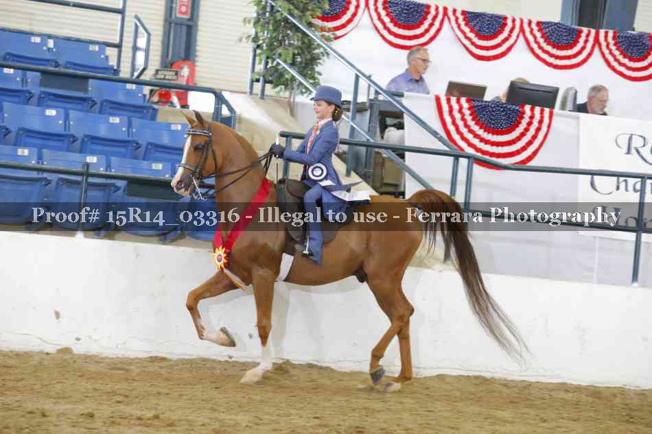 Proof 15R14_03316