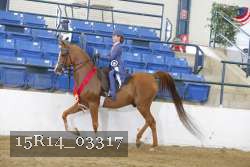 15R14_03317 proof