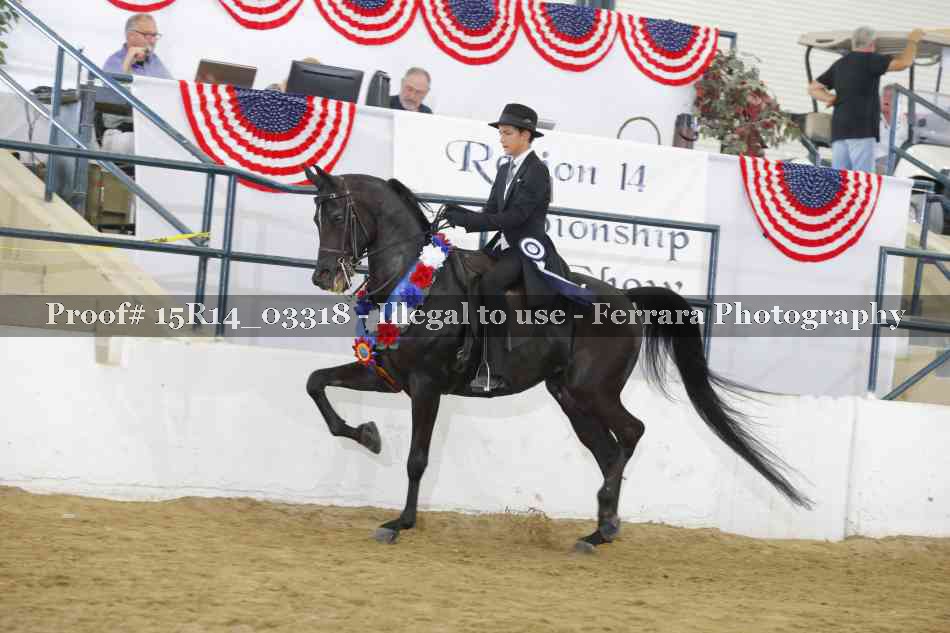 Proof 15R14_03318