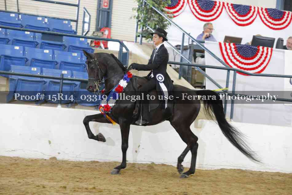 Proof 15R14_03319