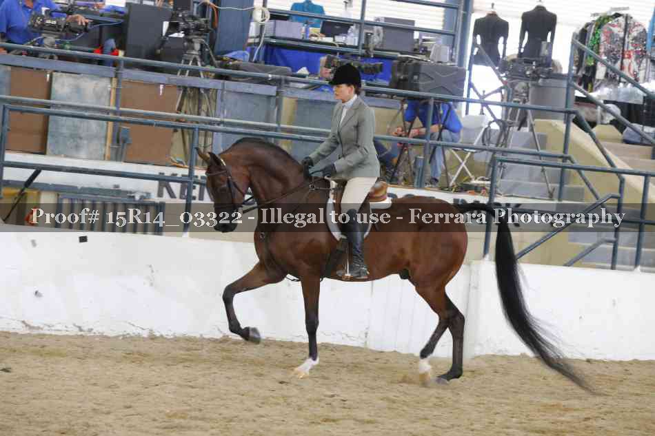 Proof 15R14_03322