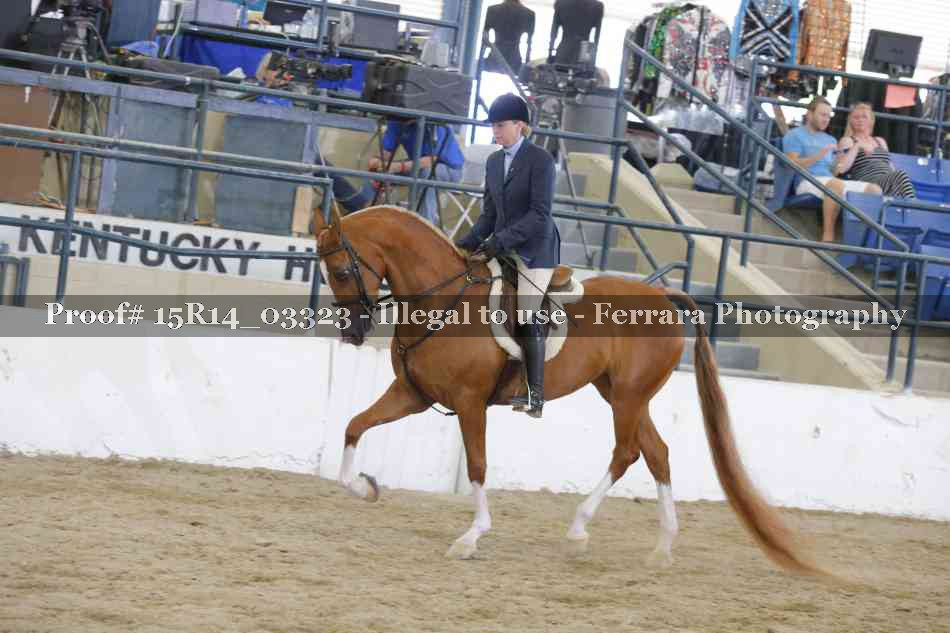 Proof 15R14_03323