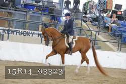 15R14_03323 proof