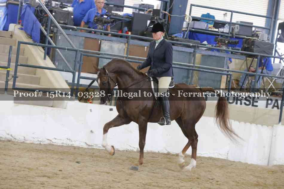 Proof 15R14_03328