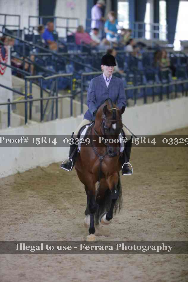 Proof 15R14_03329