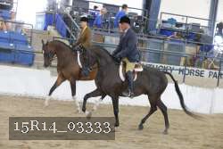 15R14_03333 proof
