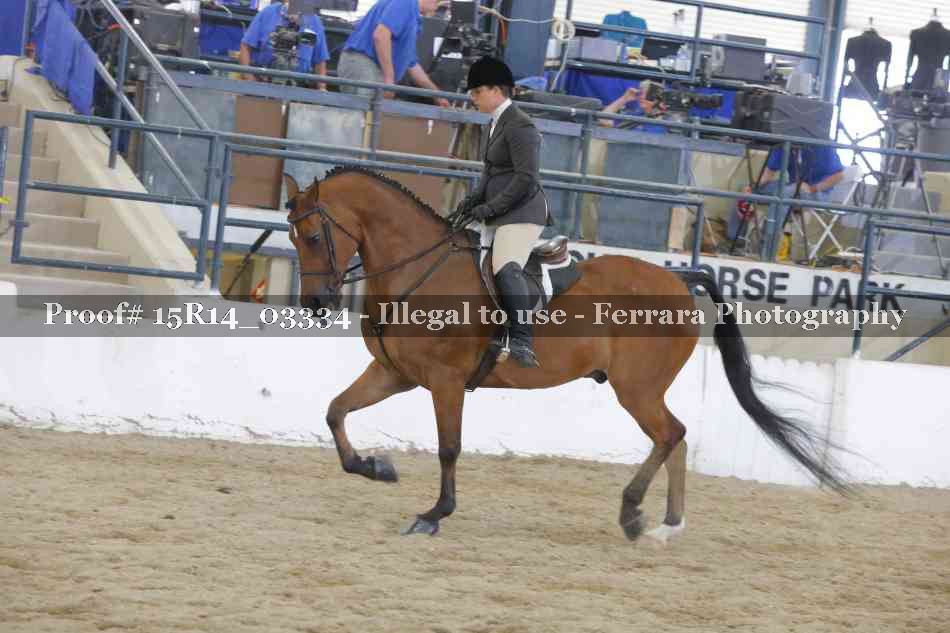 Proof 15R14_03334