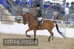 15R14_03334 proof