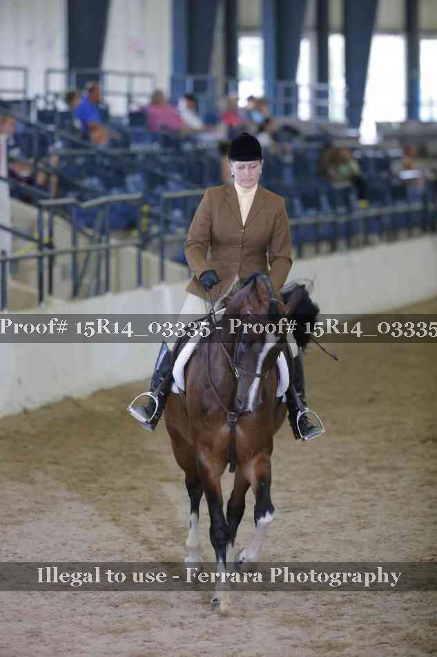 Proof 15R14_03335