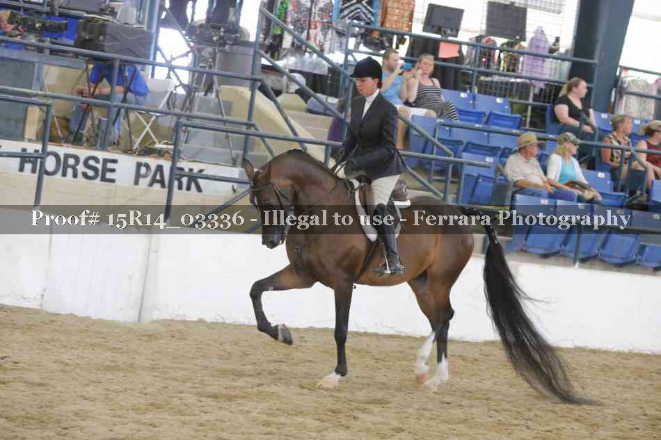 Proof 15R14_03336