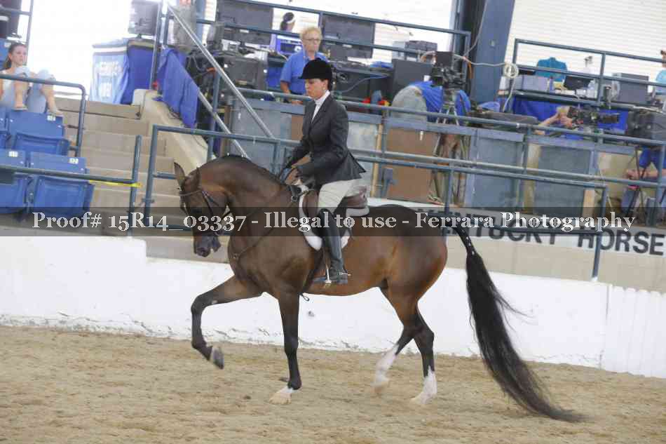 Proof 15R14_03337