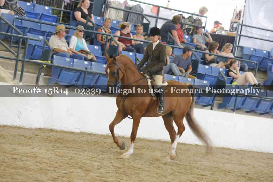 Proof 15R14_03339